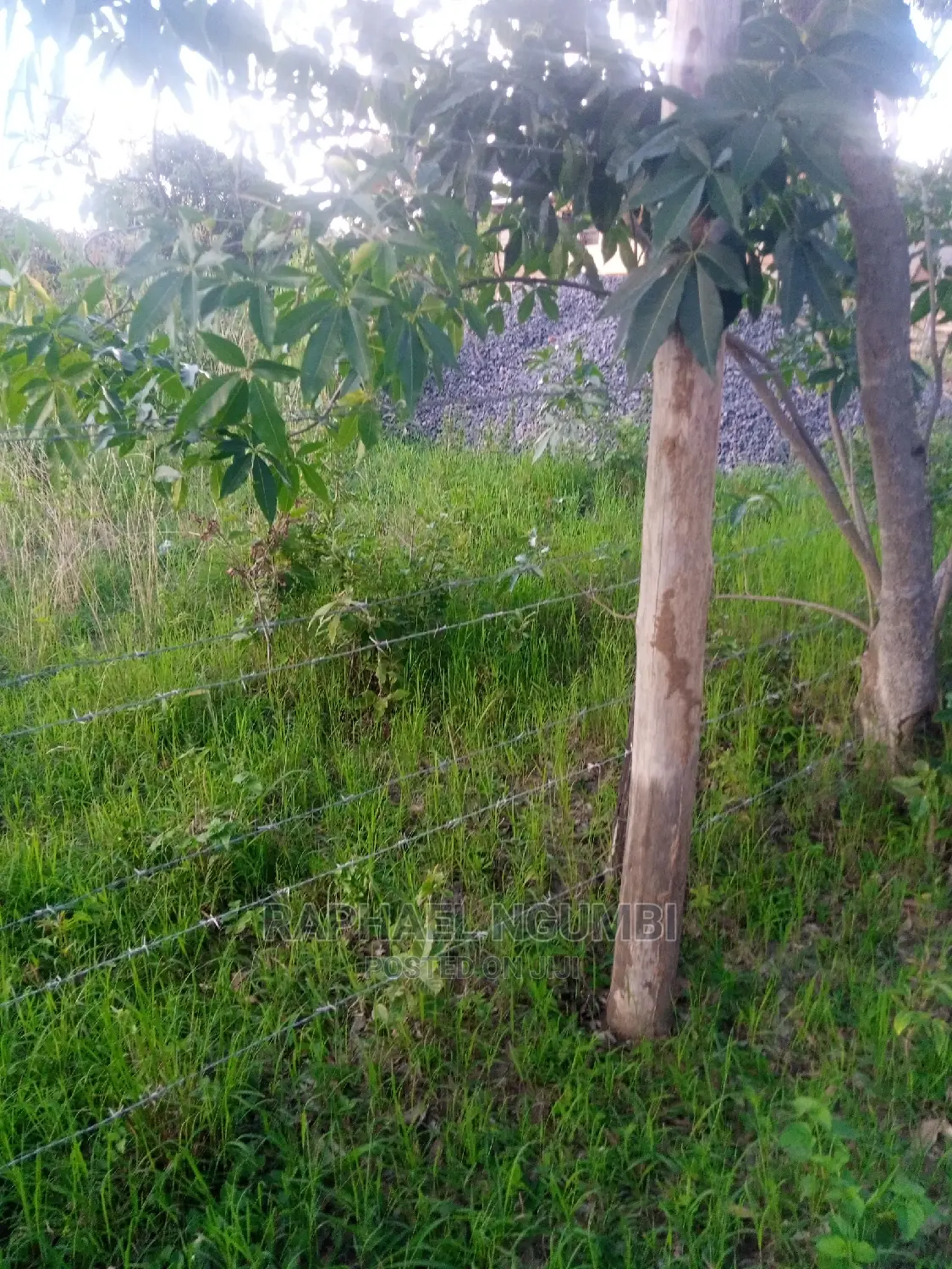Invest in Prime Plots: Limited Opportunities, High Returns in Machakos Town