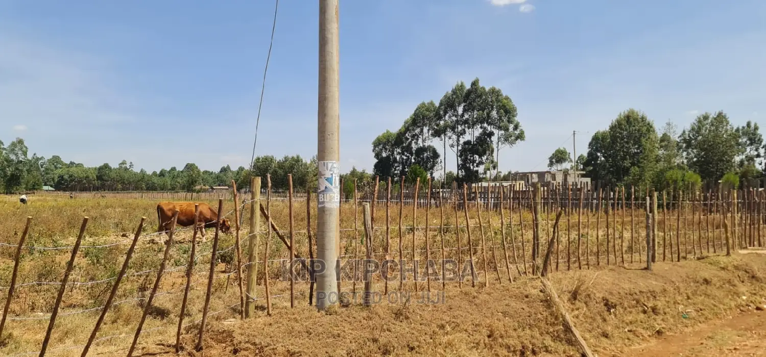 1⁄4 Plots Available in Eldoret Royalton New Tarmac - Act Fast! in Racecourse