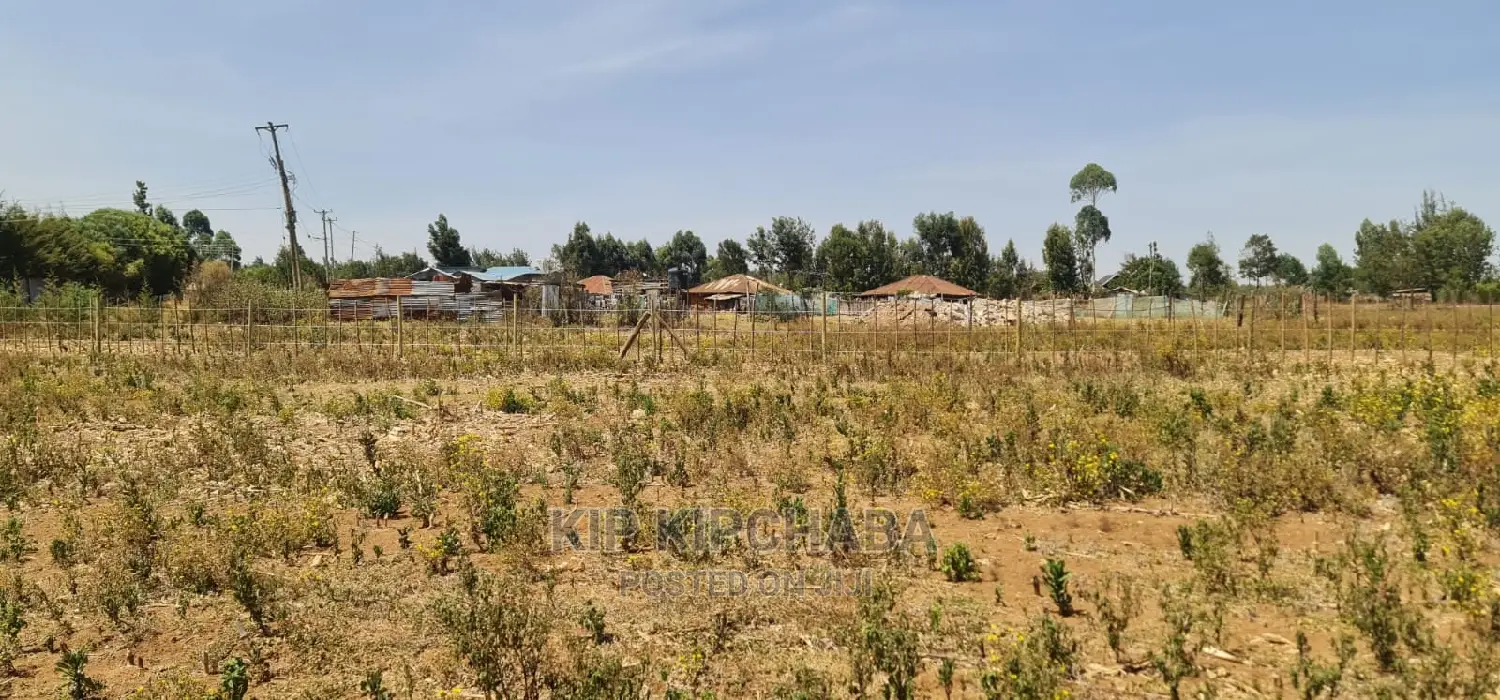 1⁄4 Plots Available in Eldoret Royalton New Tarmac - Act Fast! in Racecourse