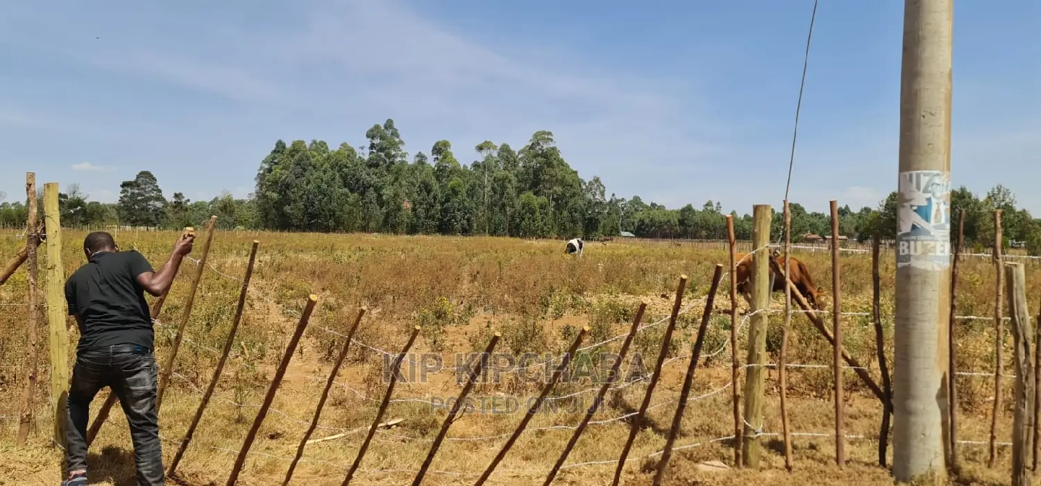 1⁄4 Plots Available in Eldoret Royalton New Tarmac - Act Fast! in Racecourse