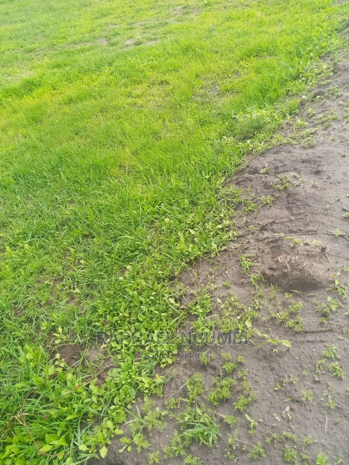 Invest in 5 Acres at Machakos Kinanie: Agricultural or Development Opportunity in Athi River