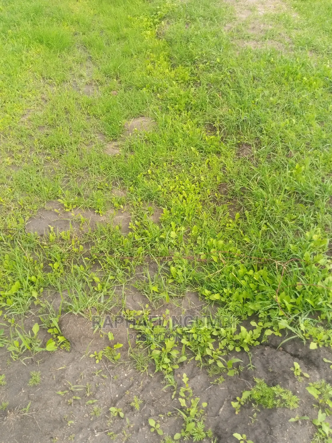 Invest in 5 Acres at Machakos Kinanie: Agricultural or Development Opportunity in Athi River