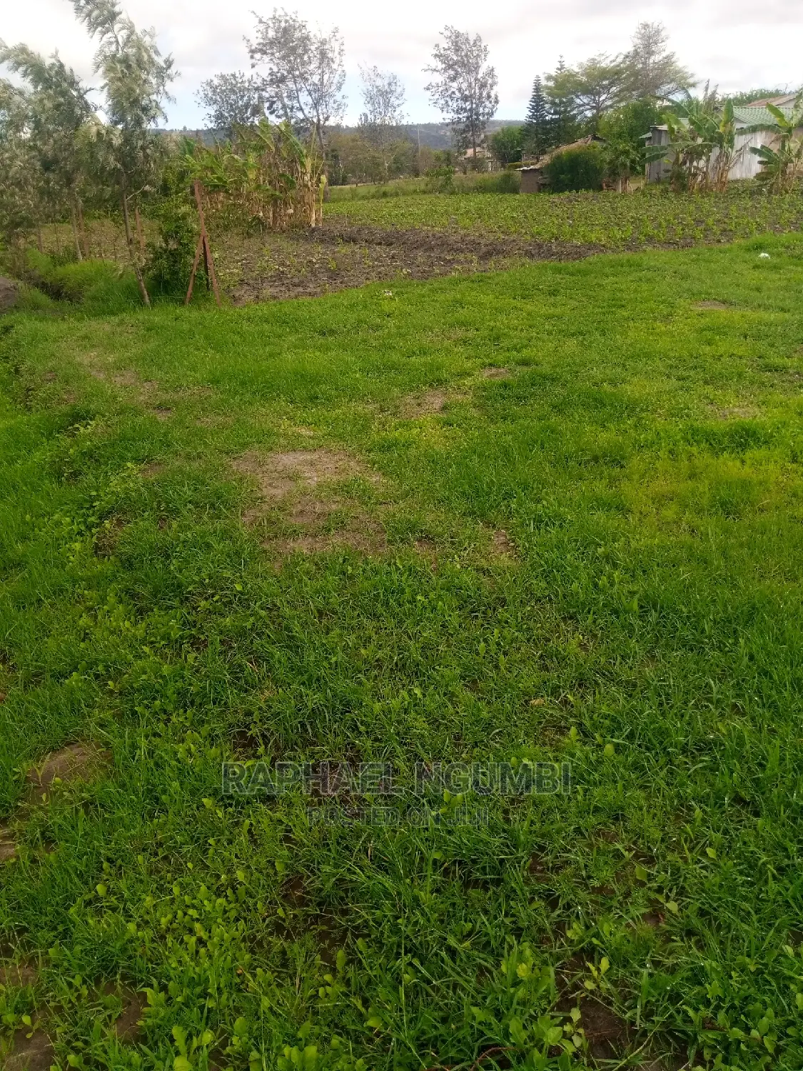 Invest in 5 Acres at Machakos Kinanie: Agricultural or Development Opportunity in Athi River