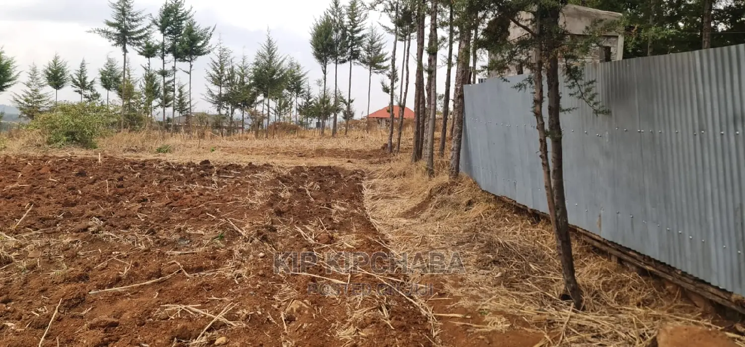 Quarter Acre Plot in Kipkorgot Misoi, Eldoret Available for Sale in Hillside