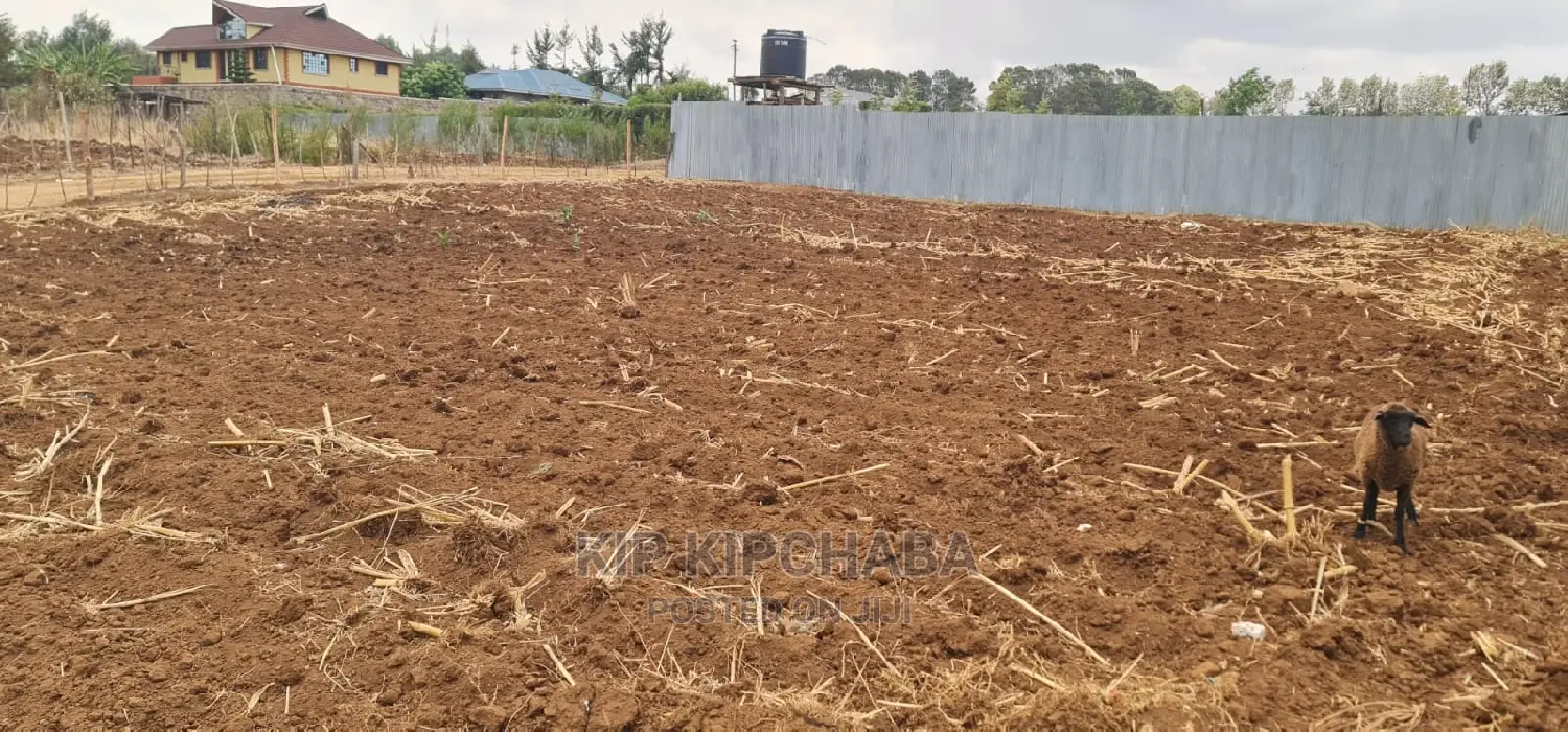 Quarter Acre Plot in Kipkorgot Misoi, Eldoret Available for Sale in Hillside