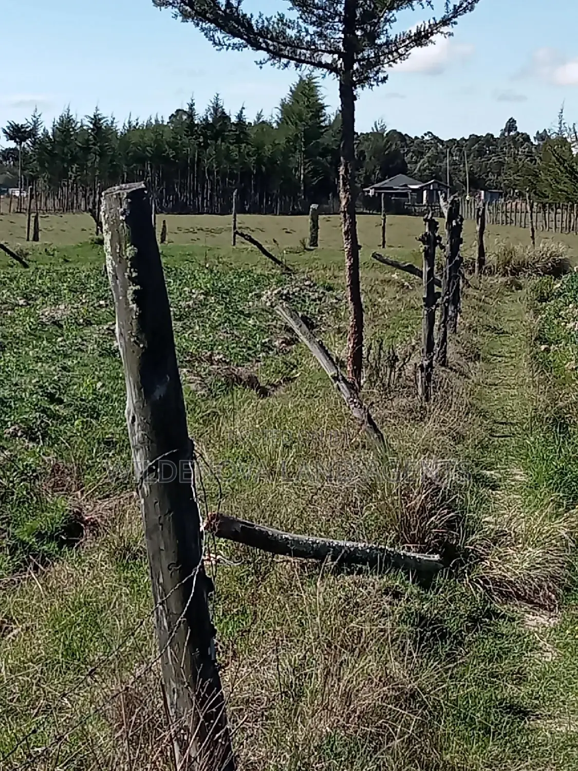 5-Acre Plot in Kinangop Enginear - Seize This Unique Land Investment Today! in North Kinangop