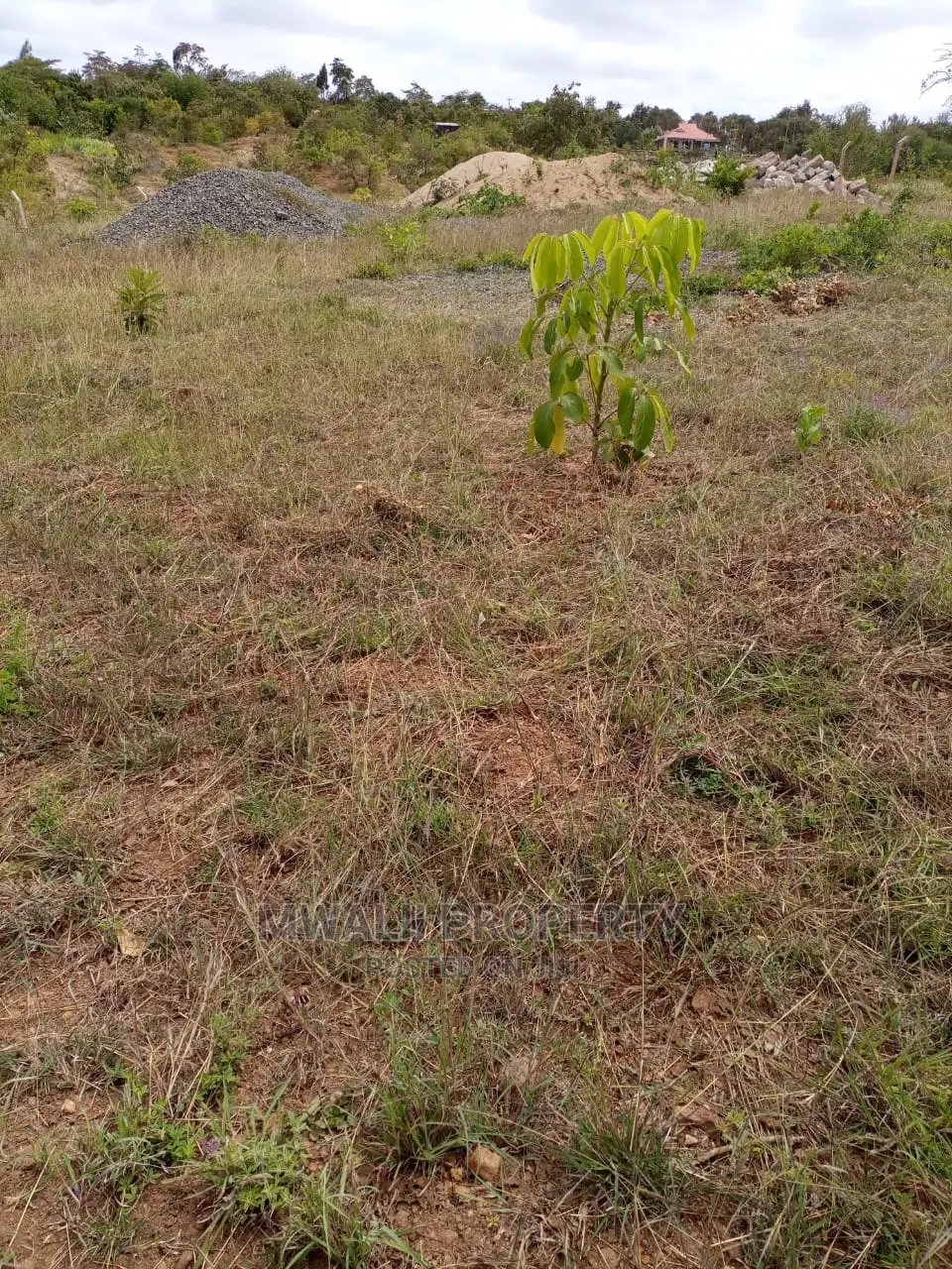 50 by 100 Ft Residential Plots in Mutomo Town in Mutomo