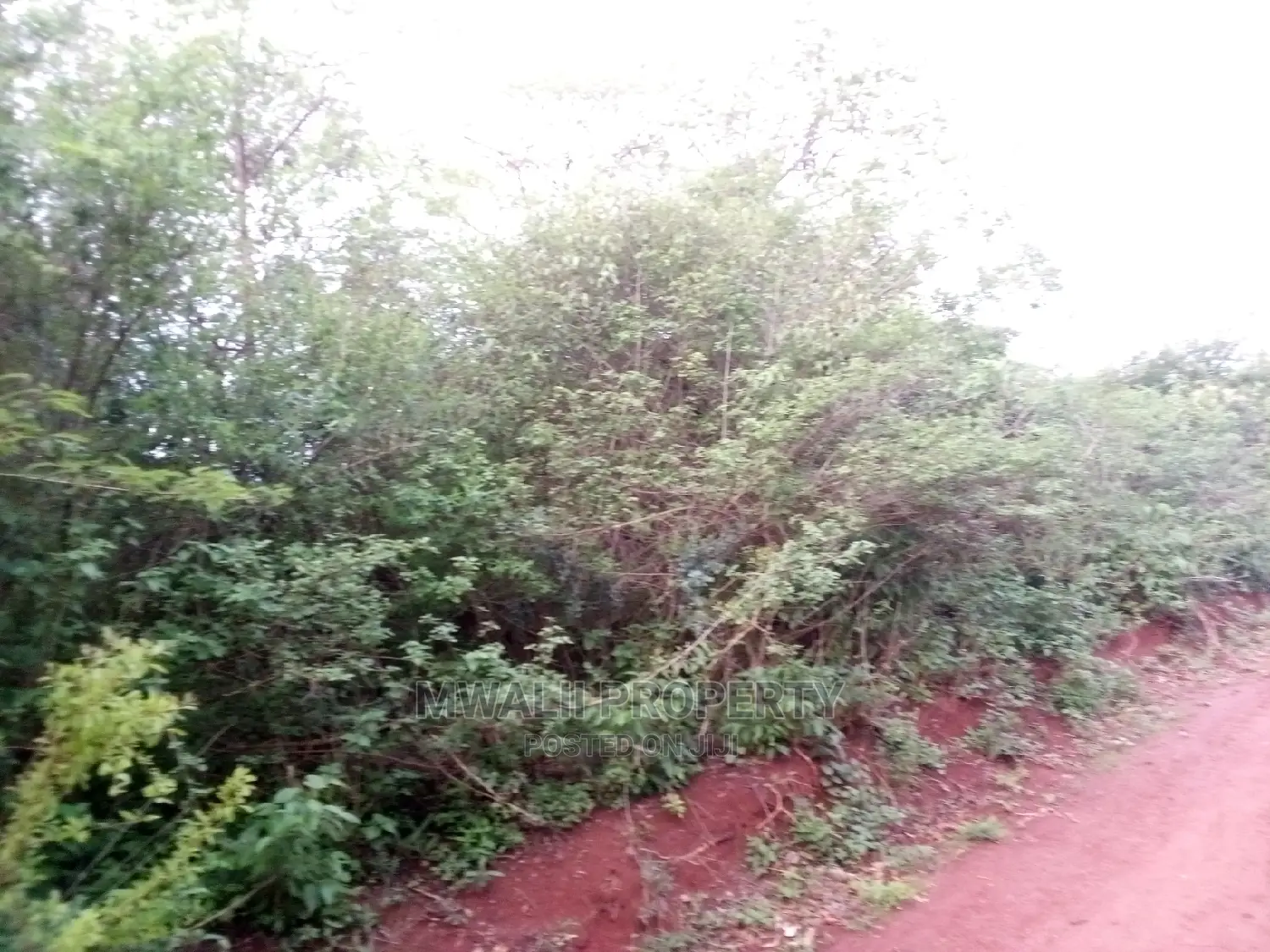 50 by 100 Ft Residential Plots in Mutomo Town in Mutomo