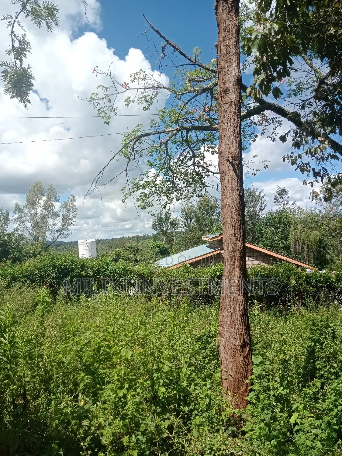 Sabasaba's Best Acre of Land Available for Purchase - Act Now! in Kamahuha