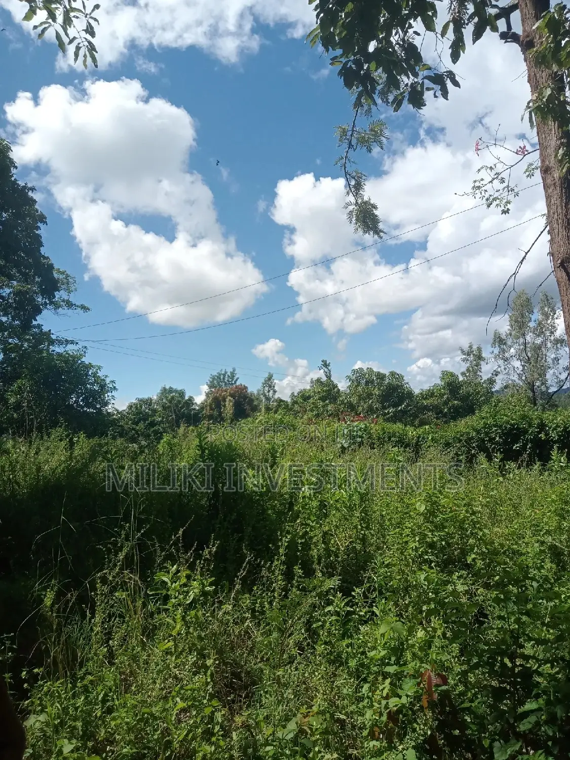 Sabasaba's Best Acre of Land Available for Purchase - Act Now! in Kamahuha
