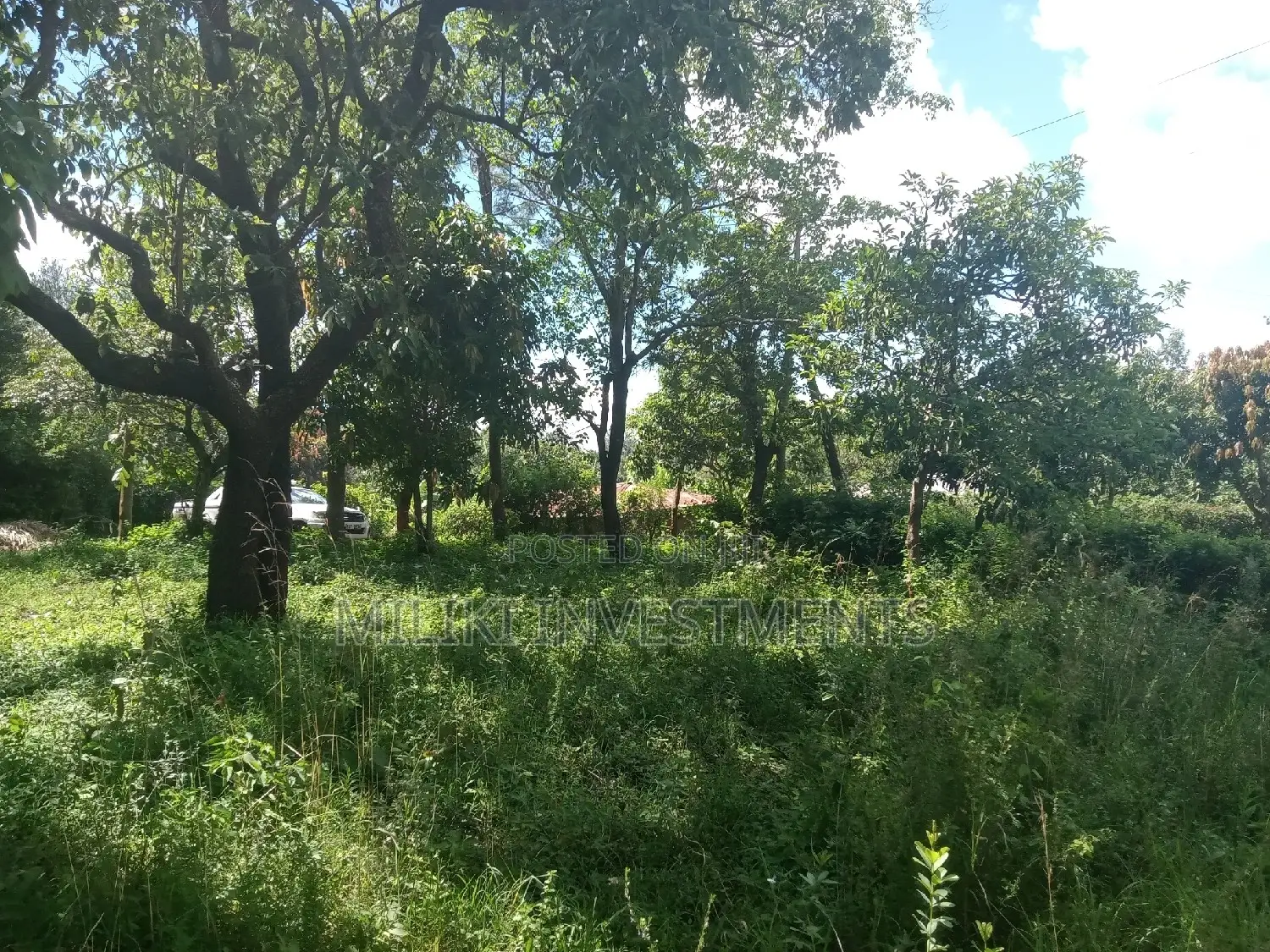 Sabasaba's Best Acre of Land Available for Purchase - Act Now! in Kamahuha