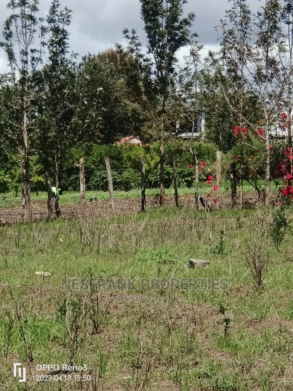 Kitengela Kisaju Plots Size 50*100 in Kitengela