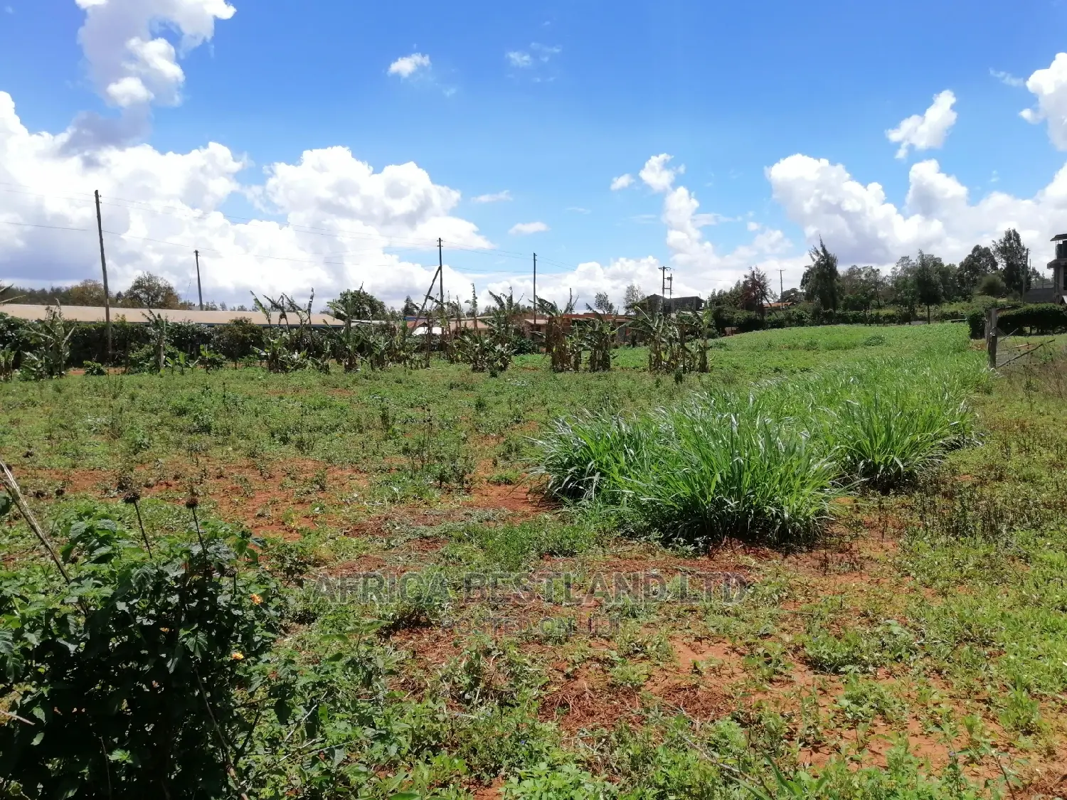 100x100 0.1ha Prime Residential Plot for Sale in Gikambura in Kikuyu
