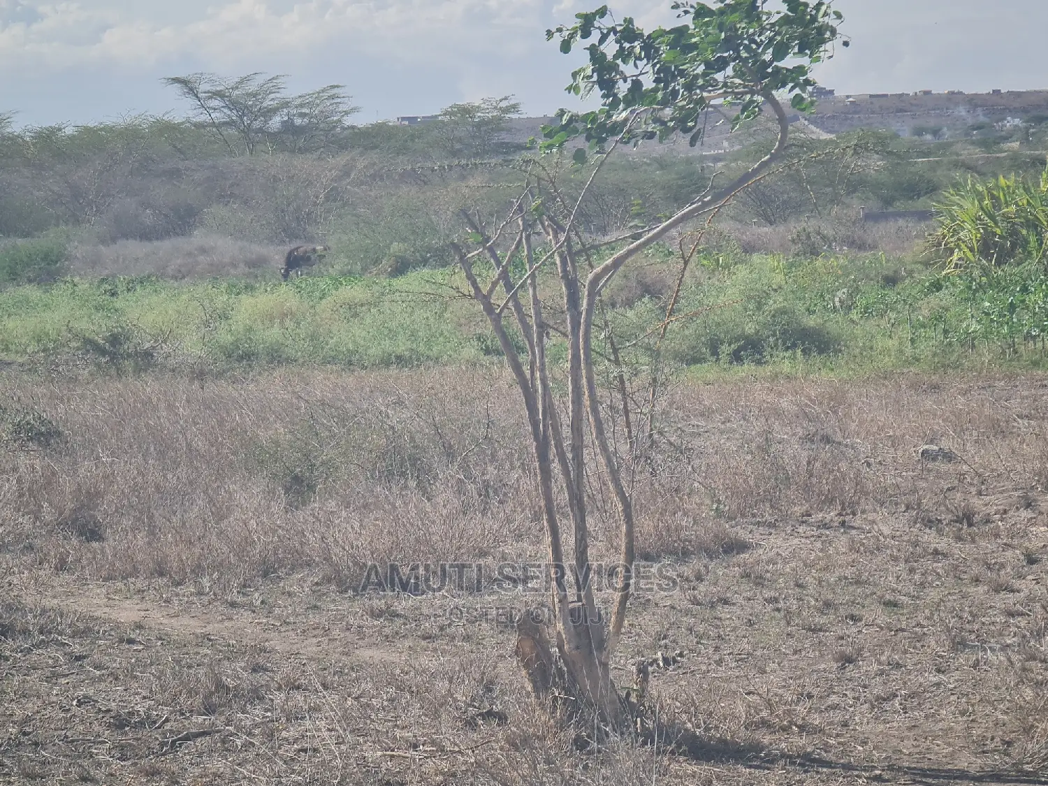 20-Acre Commercial Land - Ideal for Business Expansion in Athi River