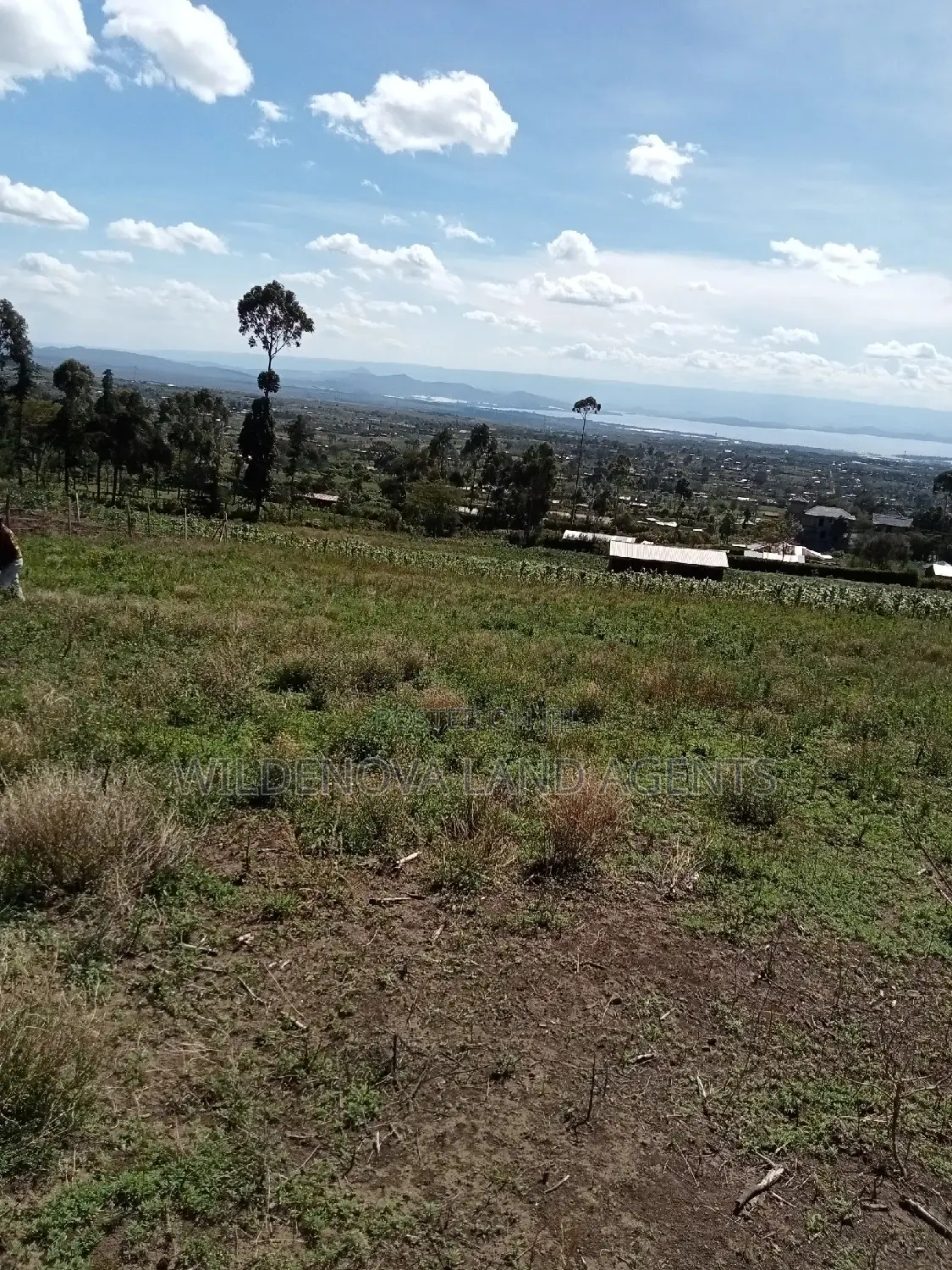 Naivasha Mwishiringiri: Ready-to-Build Plots for Sale in Naivasha East