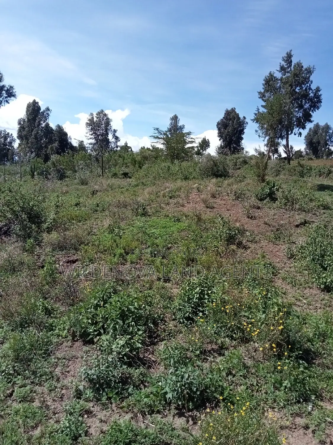 Naivasha Mwishiringiri: Ready-to-Build Plots for Sale in Naivasha East
