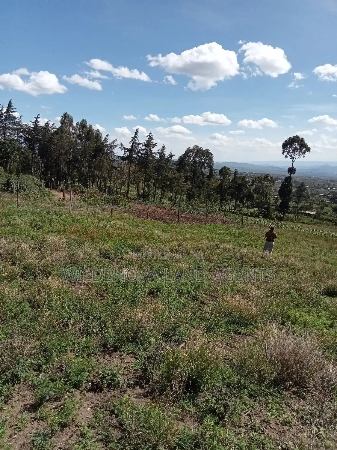 Naivasha Mwishiringiri: Ready-to-Build Plots for Sale in Naivasha East
