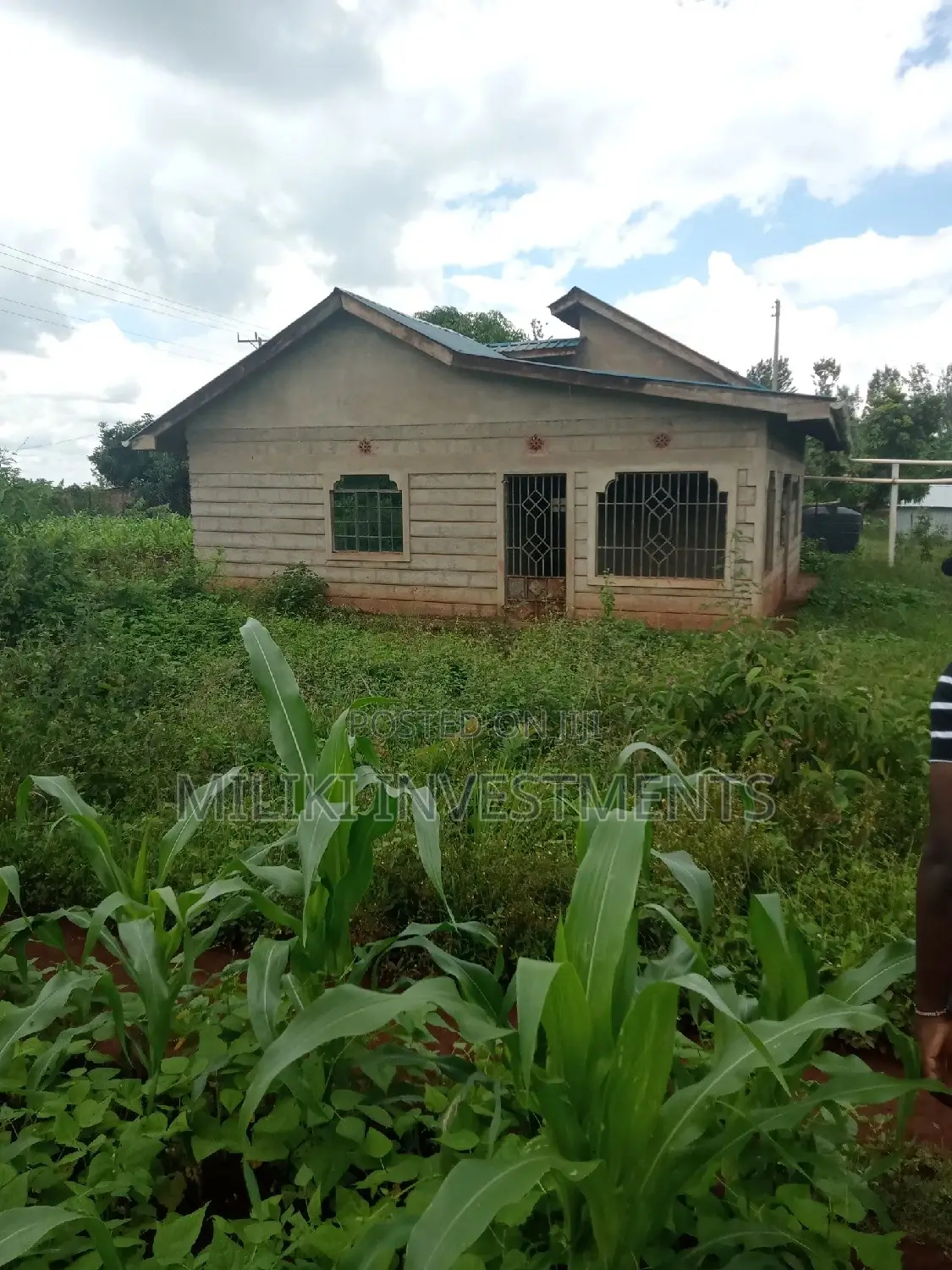 Affordable Acreage in Irigiro-Sabasaba: Buy Now! in Kimorori/Wempa