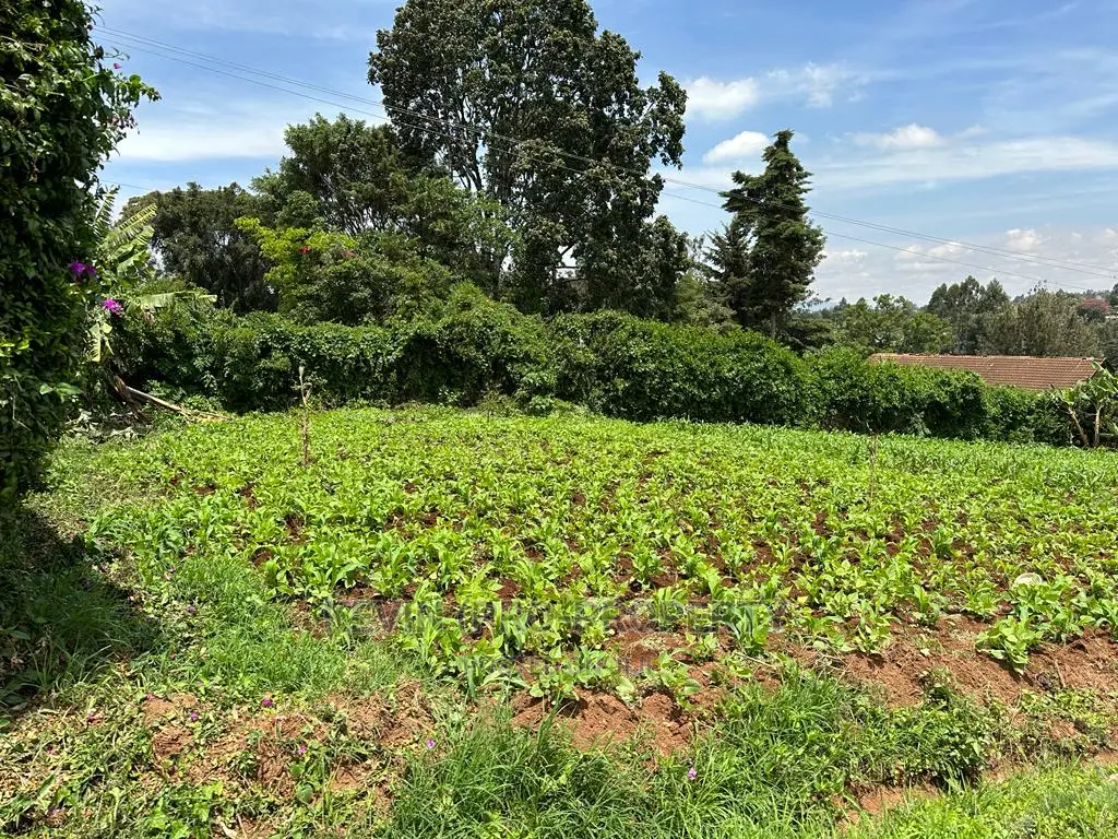 Kikuyu Town's Top Commercial Plot: Ideal for Business Growth in Karai