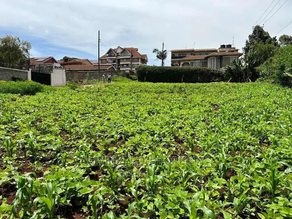 Kikuyu Town's Top Commercial Plot: Ideal for Business Growth in Karai