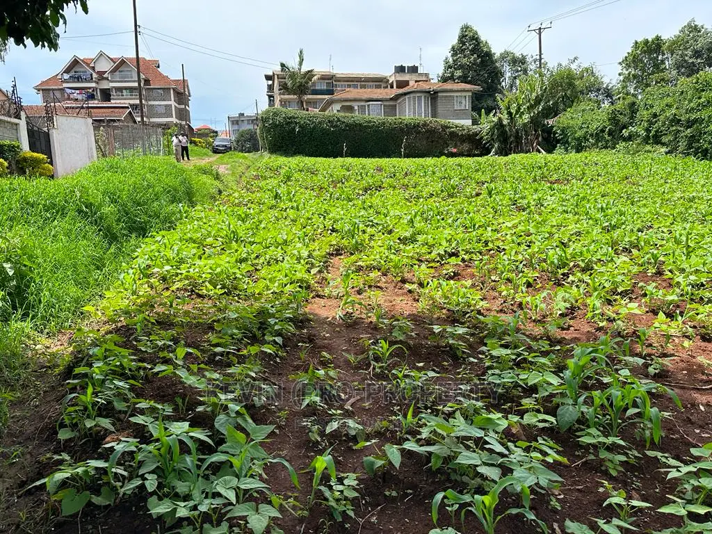 Kikuyu Town's Top Commercial Plot: Ideal for Business Growth in Karai