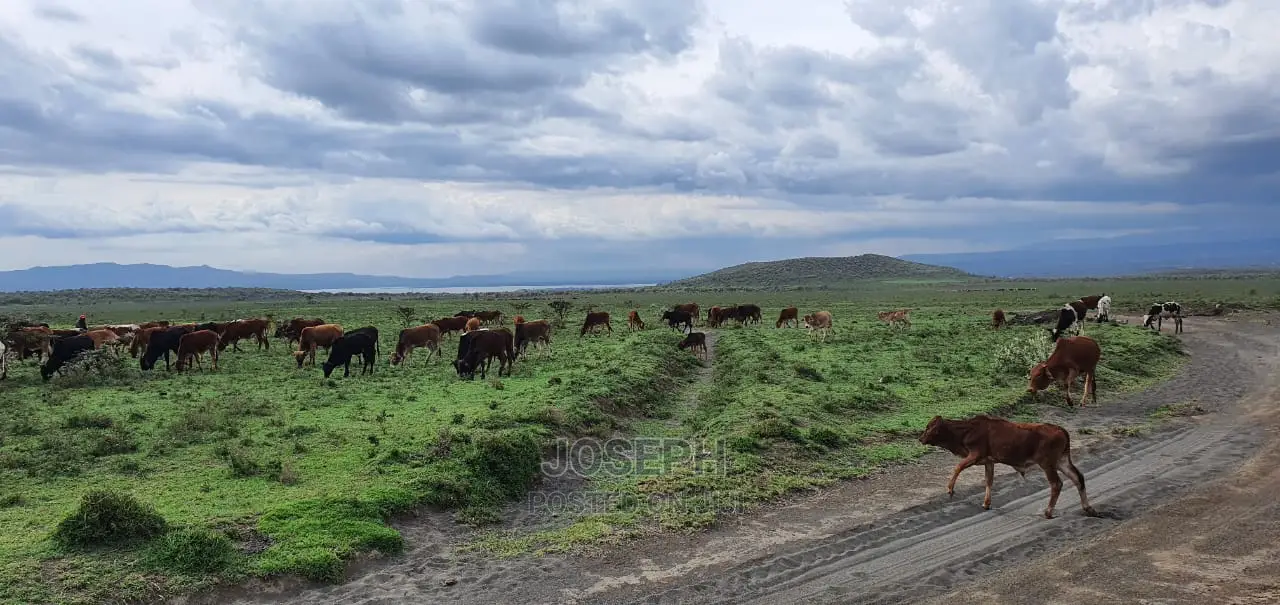 10-Acre Blocks for Sale Near Kedong Ranch House, Naivasha in HellsGate