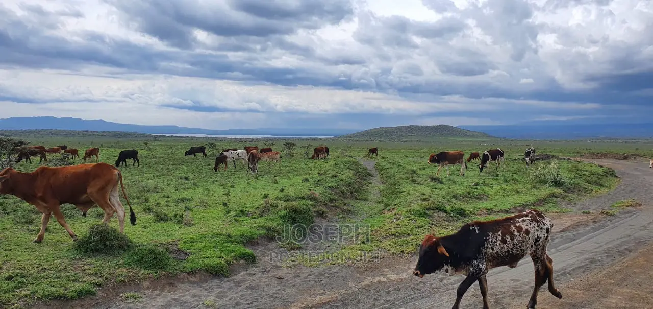 10-Acre Blocks for Sale Near Kedong Ranch House, Naivasha in HellsGate