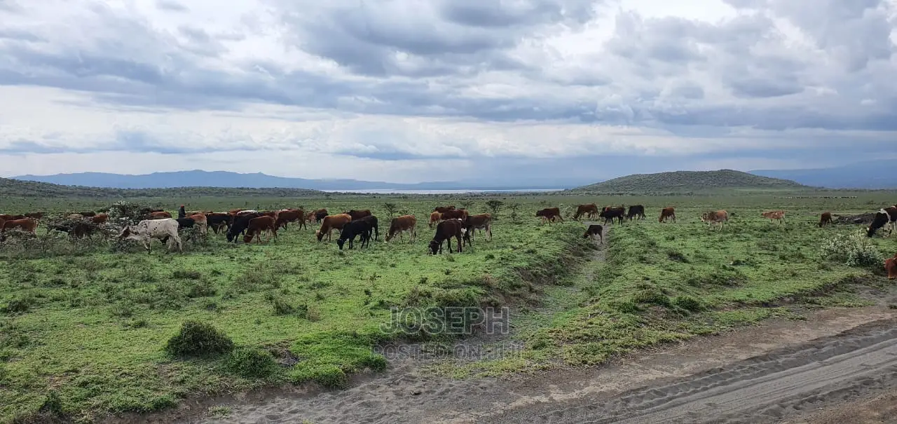10-Acre Blocks for Sale Near Kedong Ranch House, Naivasha in HellsGate