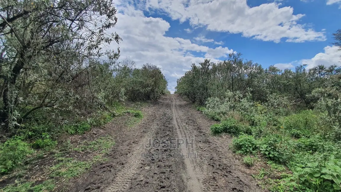 112 Acres of Serene Beauty in Naivasha Kedong - Ideal for Agriculture or Residential Development in HellsGate