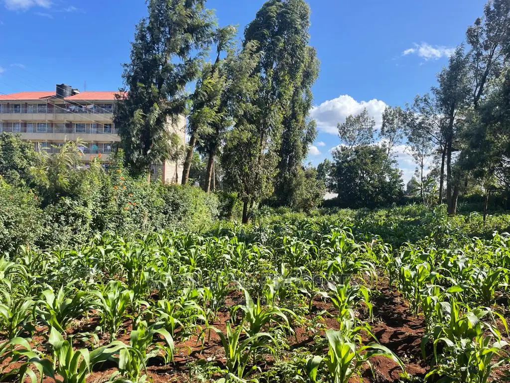 Prime Commercial Land for Sale Near Thogoto-Southern Bypass, Kikuyu in Thogoto