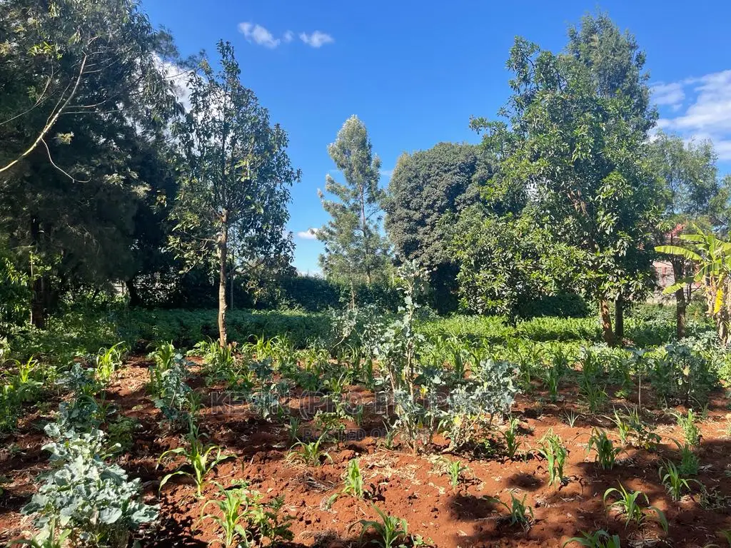 Prime Commercial Land for Sale Near Thogoto-Southern Bypass, Kikuyu in Thogoto