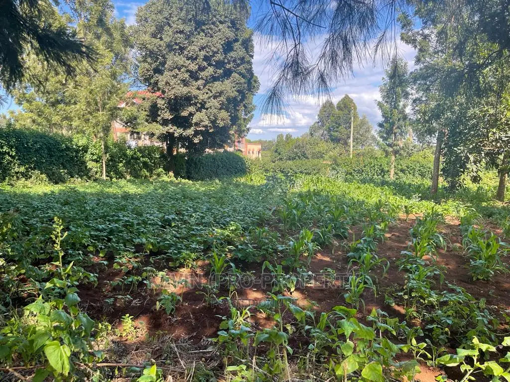 Prime Commercial Land for Sale Near Thogoto-Southern Bypass, Kikuyu in Thogoto
