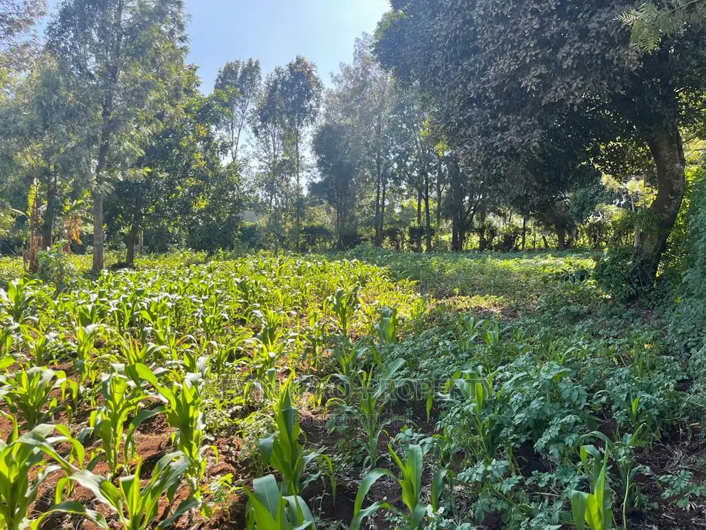 Prime Commercial Land for Sale Near Thogoto-Southern Bypass, Kikuyu in Thogoto