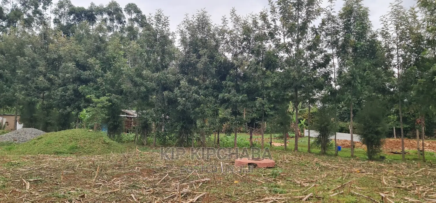 Cheplasgei Bypass, Eldoret: 1⁄4 Acre Plot for Sale in Greenwood in Racecourse