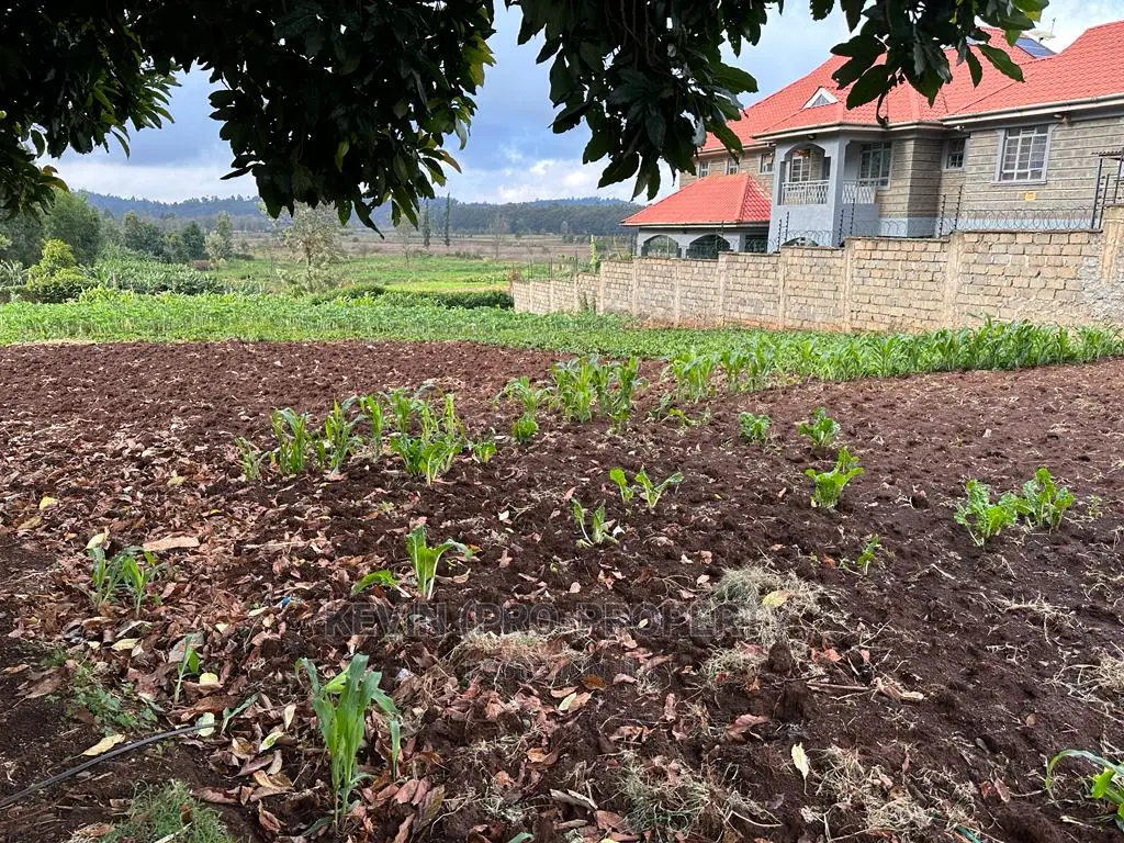 Spacious Residential Plot in Kikuyu, Ondiri (1/4 Acre) - Prime Real Estate Opportunity! in Karai