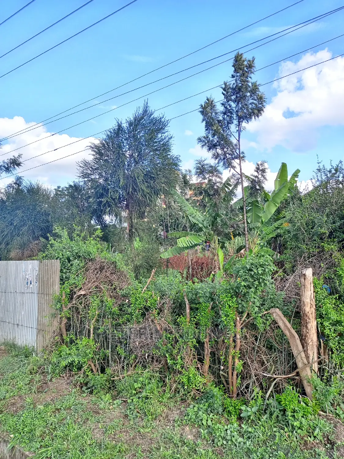 Prime One-Acre Plot Adjacent to Thika Superhighway for Lease in Thika