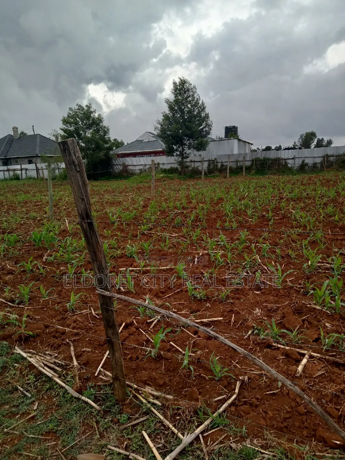 1/8 Acre Plot in Outspan with Easy Tarmac Access in Soy