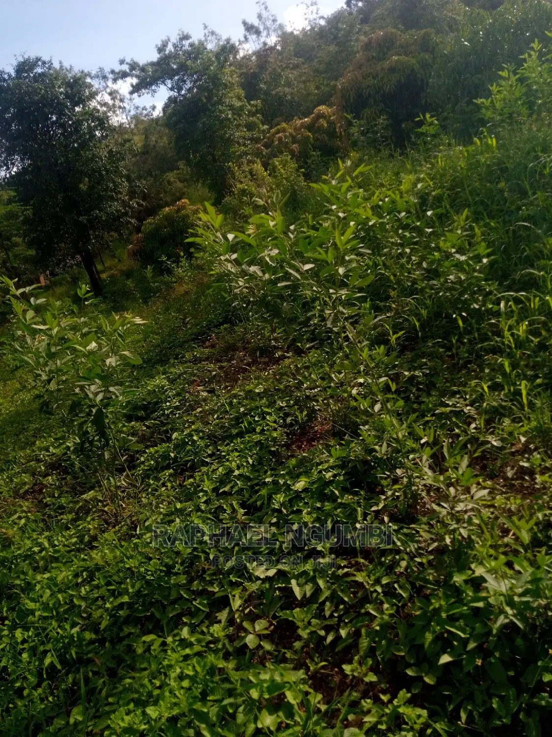 Premium 1.75-acre plot in Machakos Kaani for sale in Machakos Town