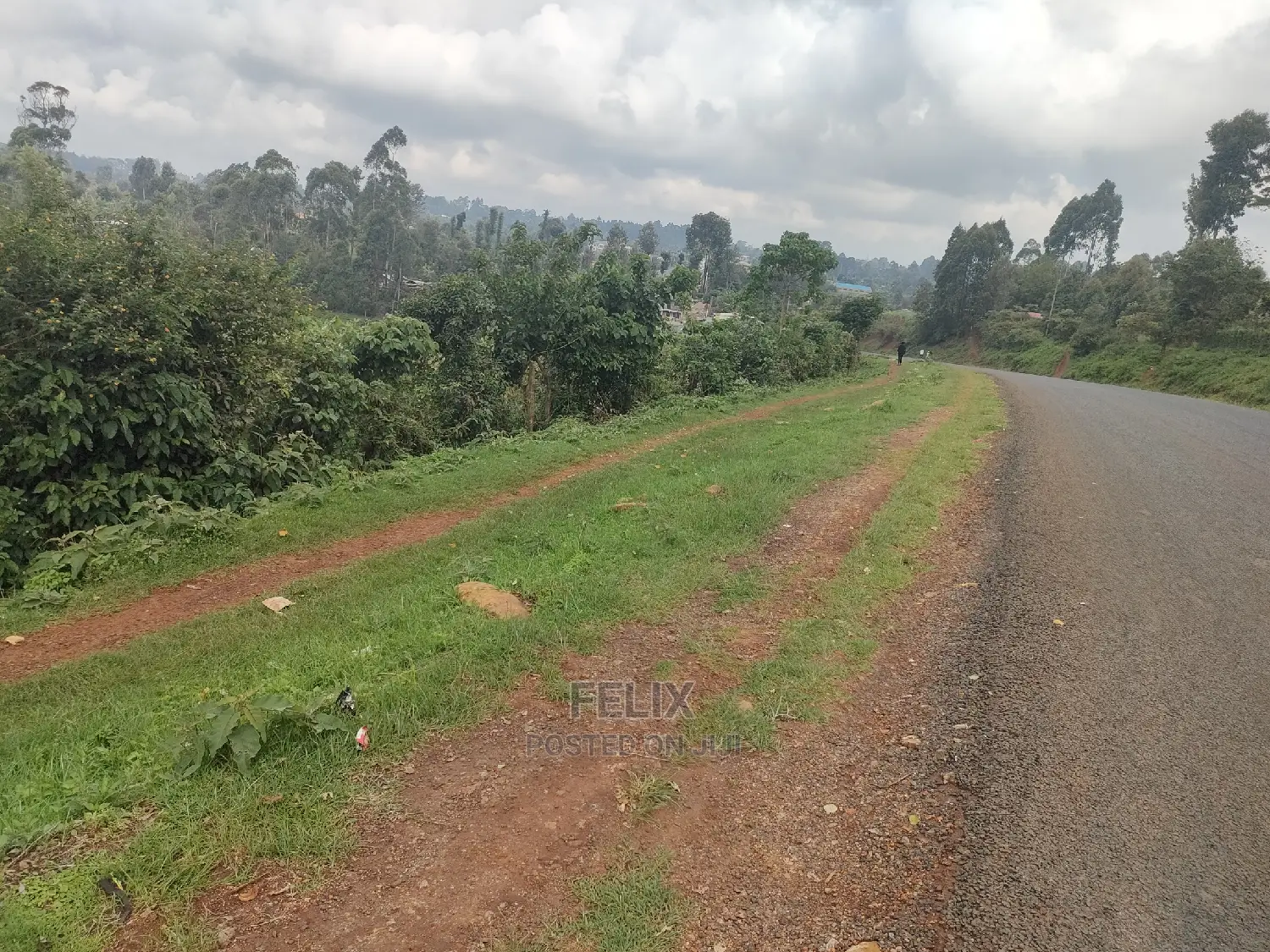 Karatina/Gatura Main Tarmac 50/100 in Karatina Town
