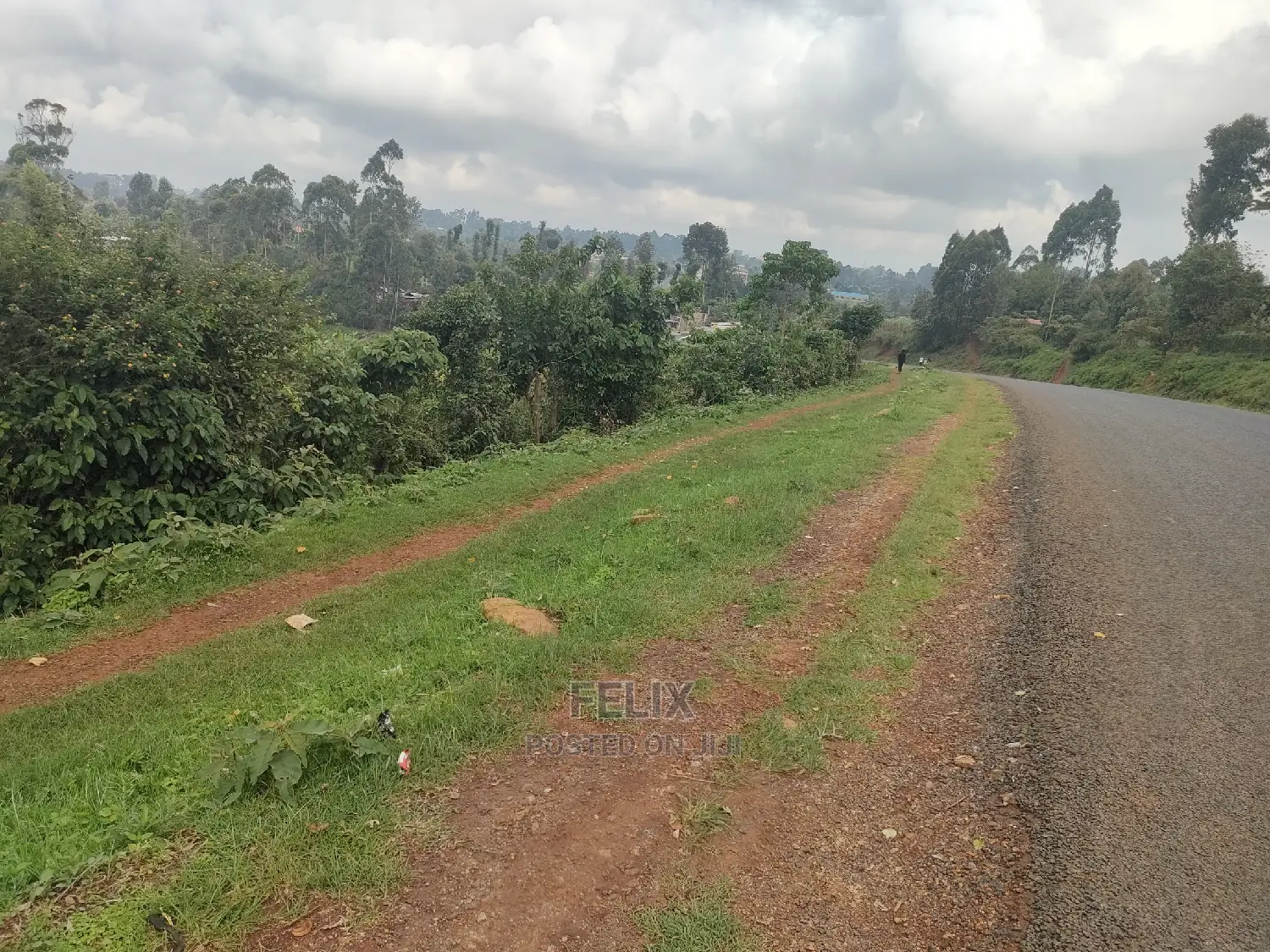 Karatina/Gatura Main Tarmac 50/100 in Karatina Town