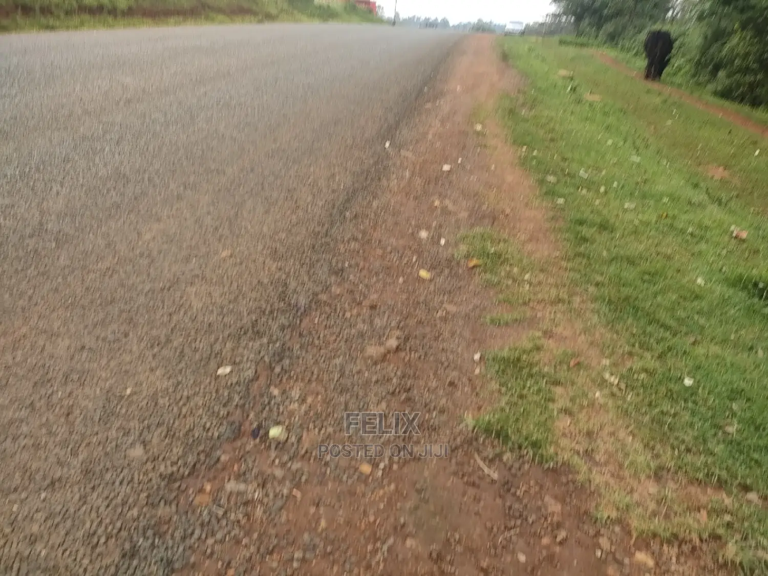Karatina/Gatura Main Tarmac 50/100 in Karatina Town