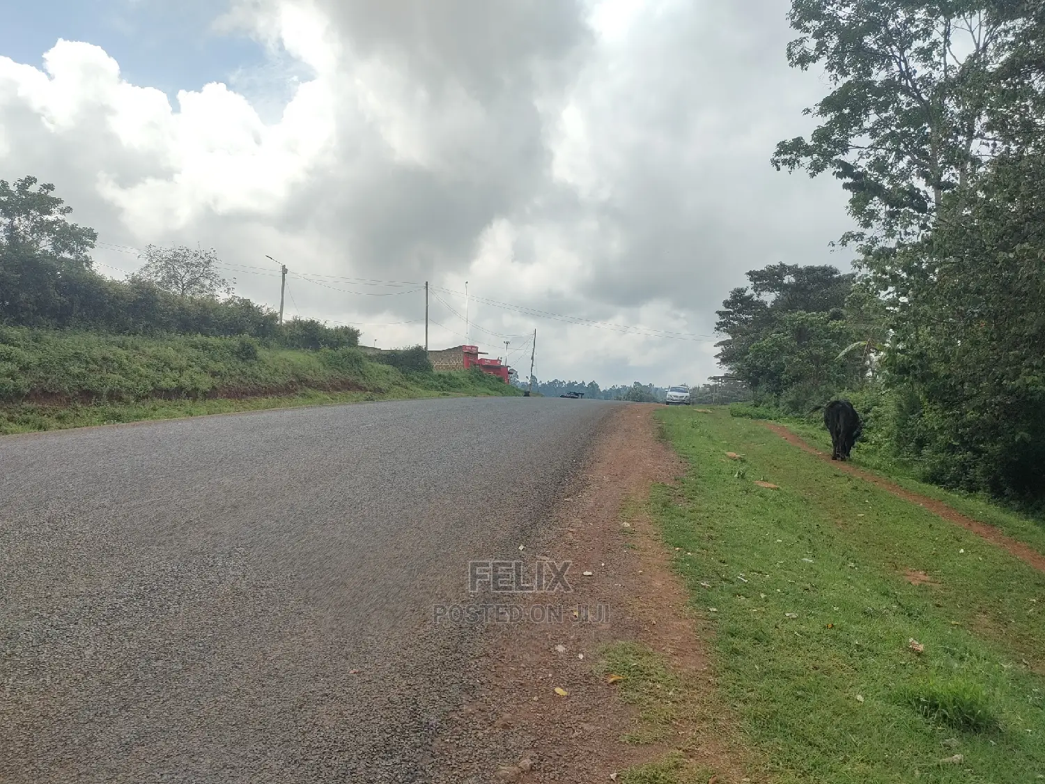 Karatina/Gatura Main Tarmac 50/100 in Karatina Town
