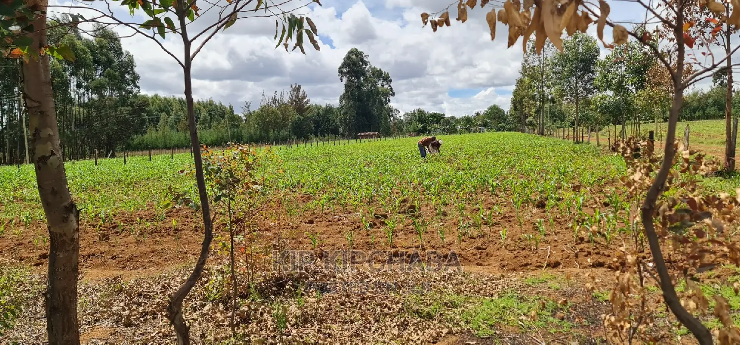 1/2 Acre Land in Outspan Eldoret for Sale - Invest Today! in Racecourse