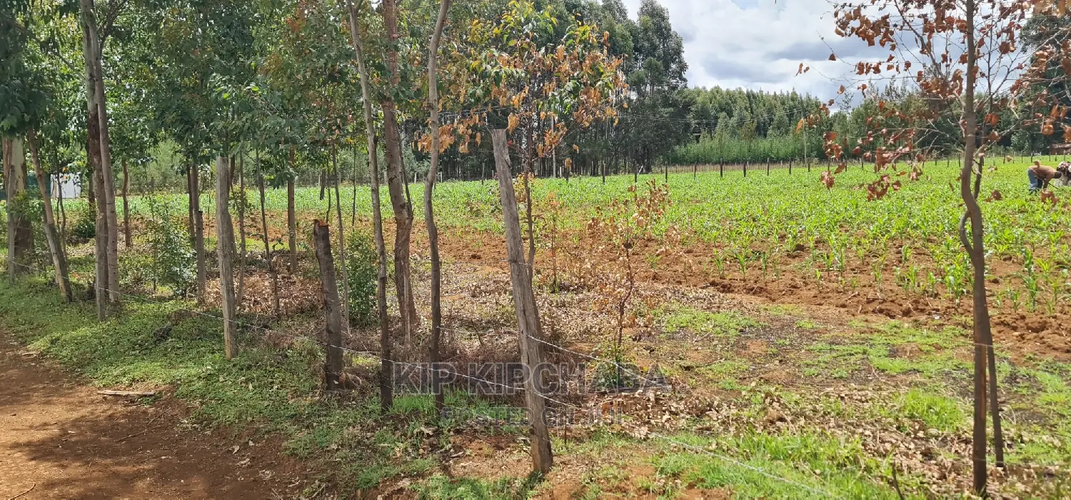 1/2 Acre Land in Outspan Eldoret for Sale - Invest Today! in Racecourse