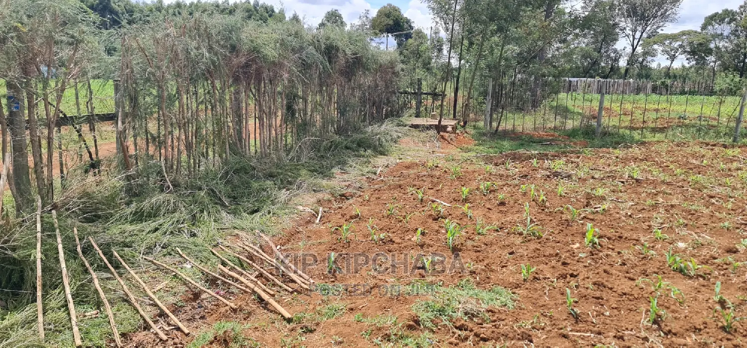 1/2 Acre Land in Outspan Eldoret for Sale - Invest Today! in Racecourse