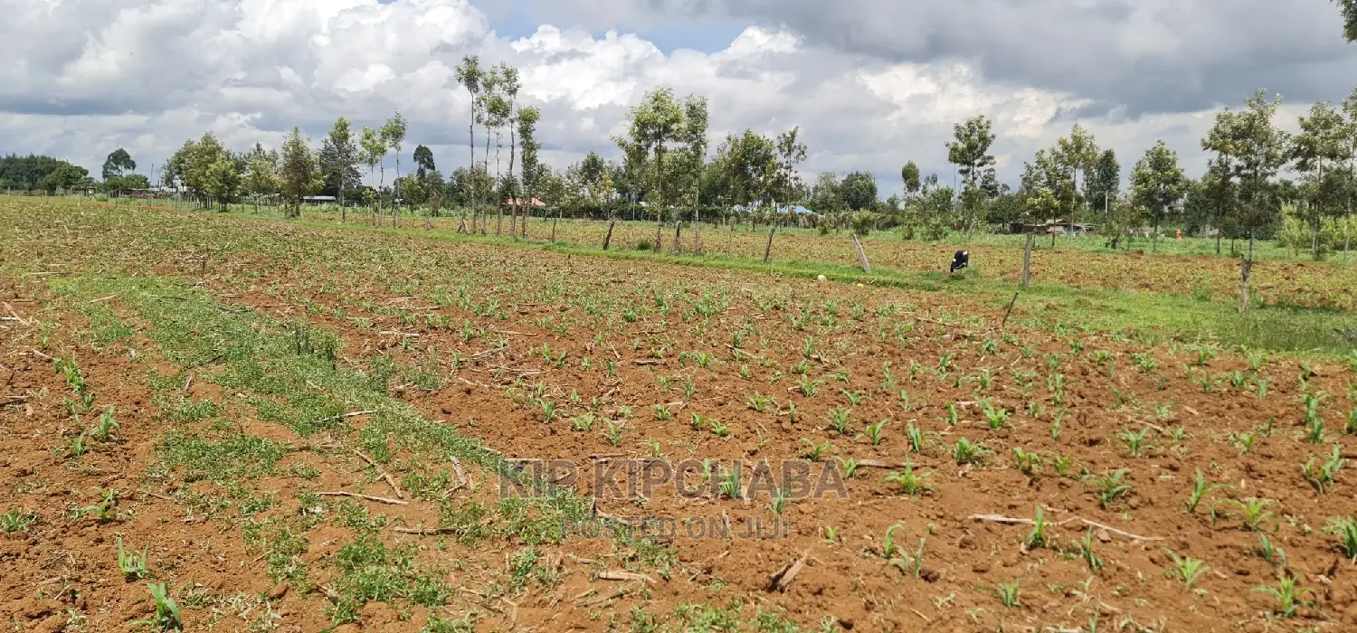 1/2 Acre Land in Outspan Eldoret for Sale - Invest Today! in Racecourse