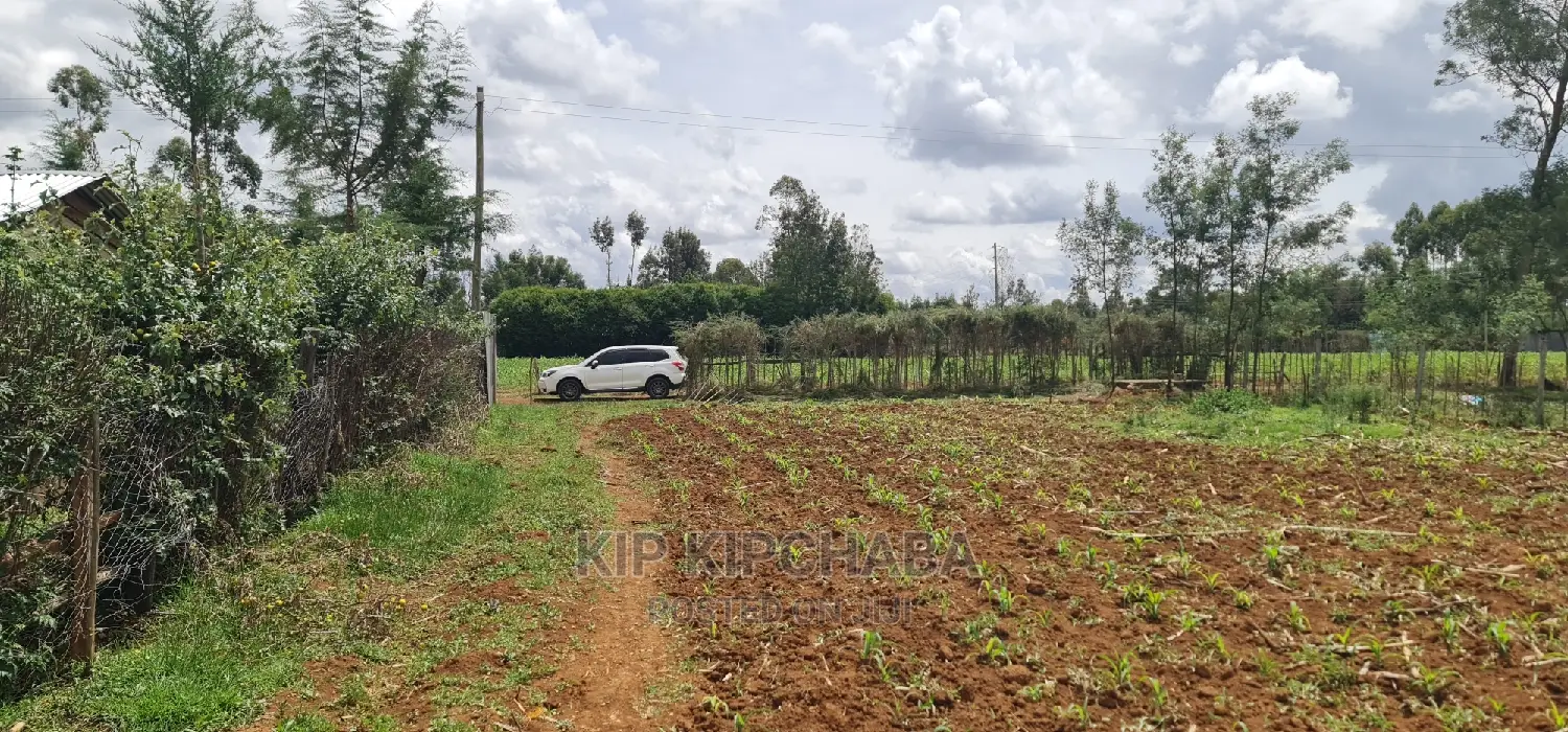 1/2 Acre Land in Outspan Eldoret for Sale - Invest Today! in Racecourse