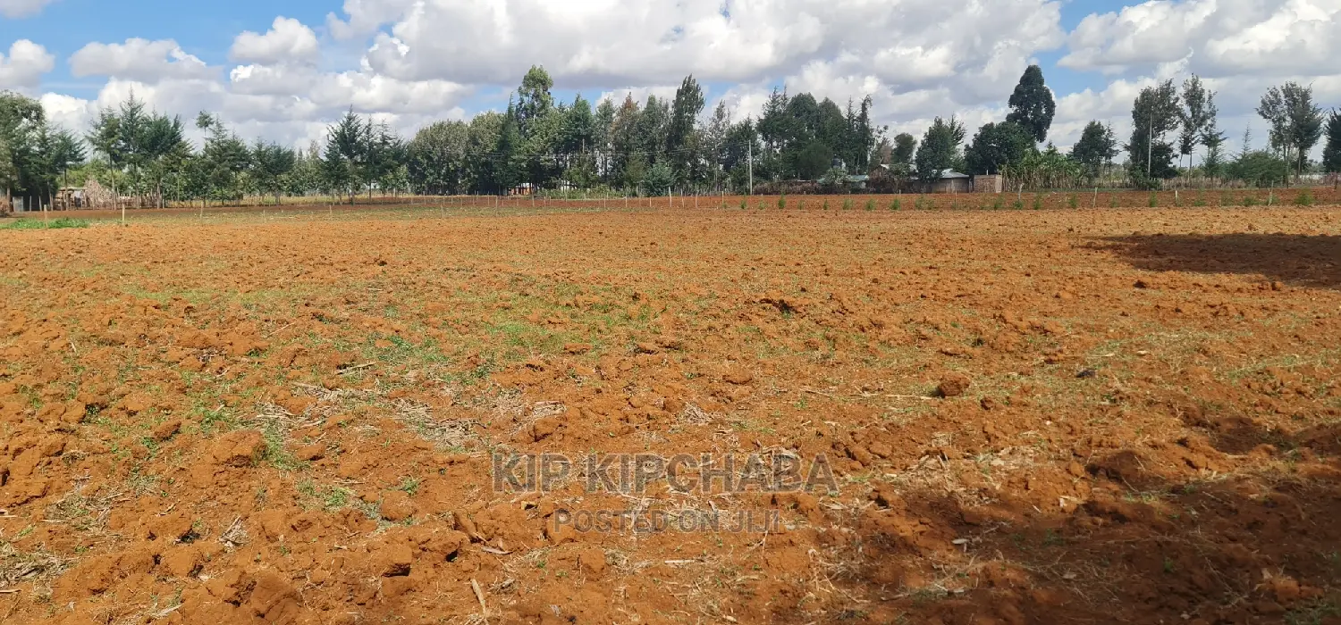 1-Acre Property for Sale in Eldoret's Kiplombe Kapndani in Kiplombe