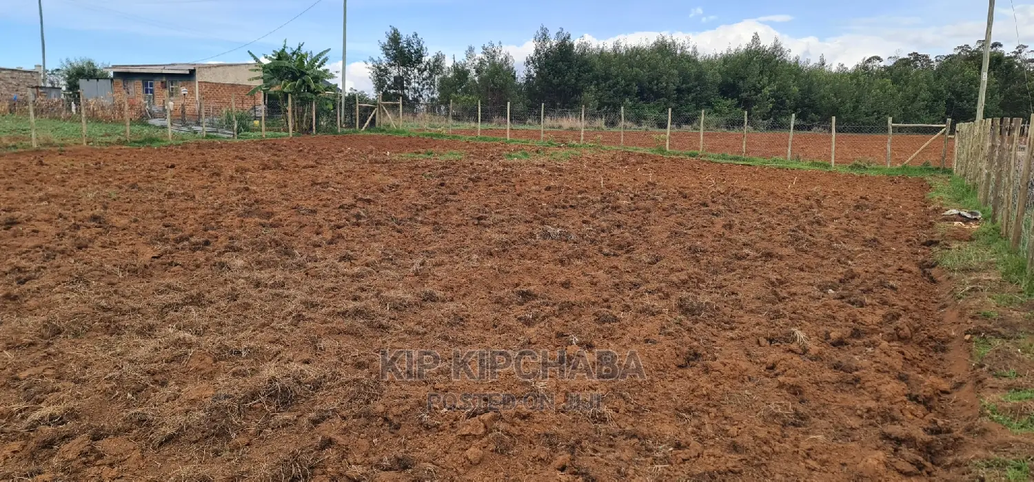 Prime 1/4 Acre Land for Sale in Mountainview Hillside, Eldoret - Best Opportunity Awaits in Hillside
