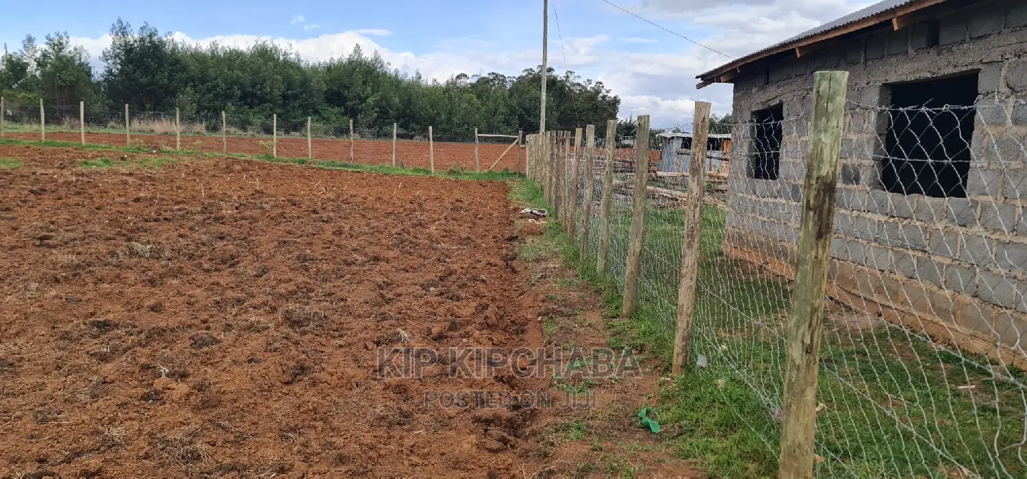 Prime 1/4 Acre Land for Sale in Mountainview Hillside, Eldoret - Best Opportunity Awaits in Hillside